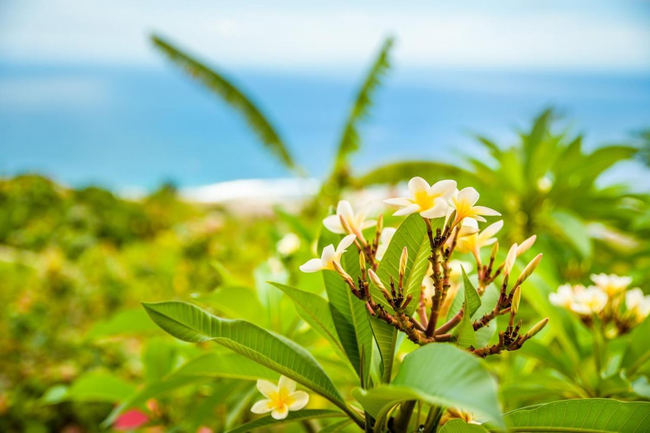 Re Ocean Villa Saint-Leu Ngoại thất bức ảnh